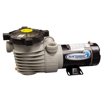Blue Torrent Hurricane-D 1.5 HP Above-Ground Pool Pump